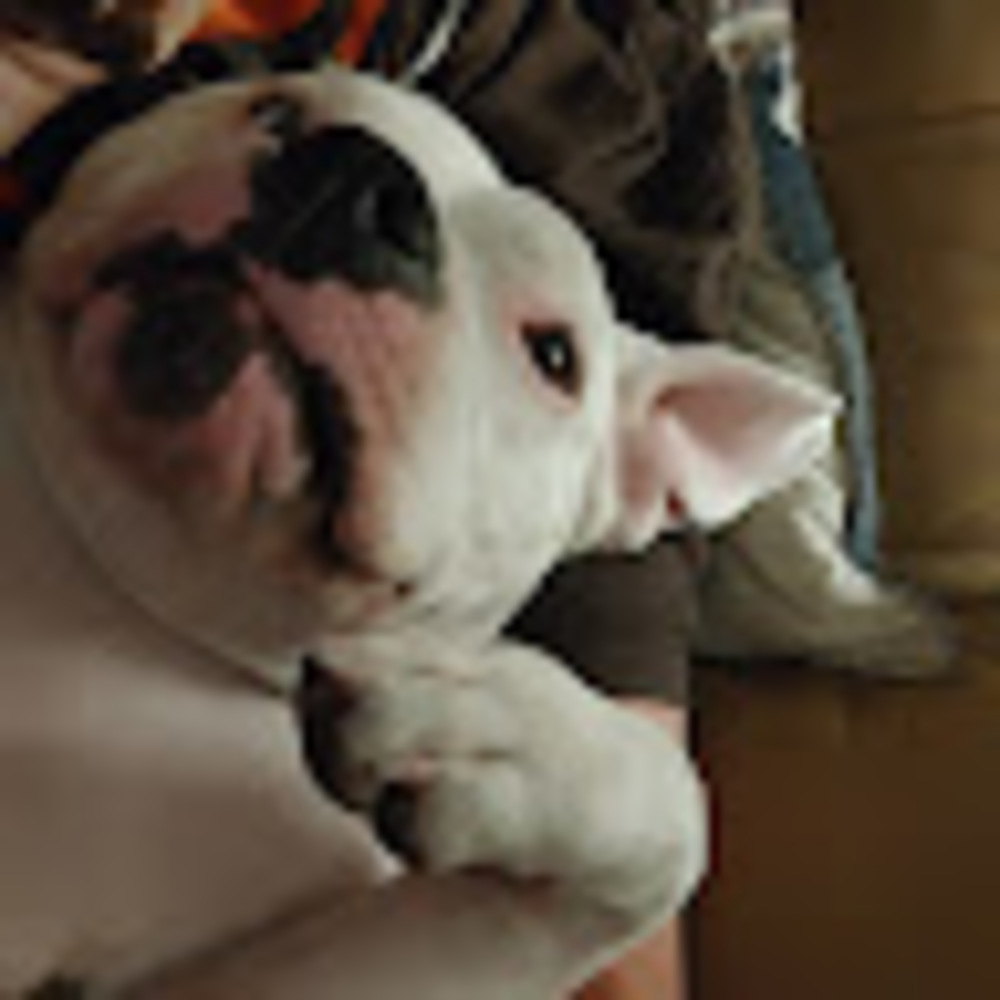 Meet your Posher, Brenda